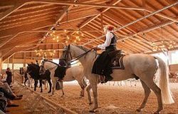 reiten-zürich