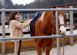 reiten-zürich