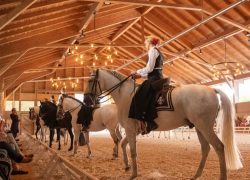 reiten-zürich
