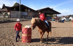 reiten-zürich