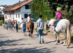 reiten-zürich