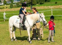 reiten-zürich