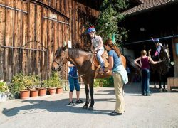 reiten-zürich