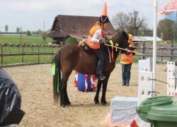 reiten-zürich