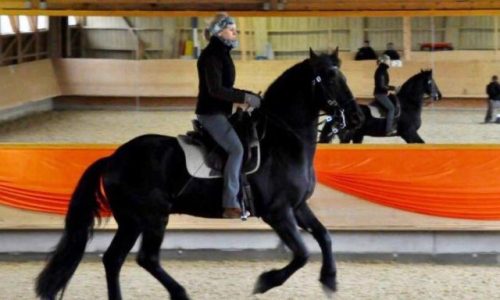 reiten-zürich