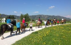 reiten-zürich