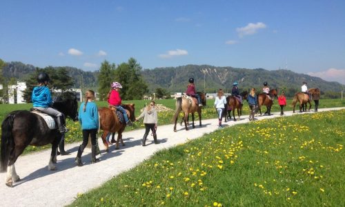 reiten-zürich