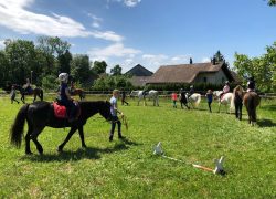 reiten-zürich