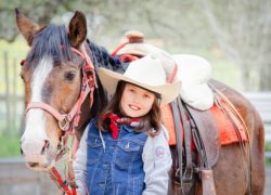 westernreiten-zürich