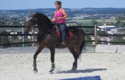 reiten-zürich