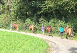 reiten-zürich