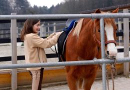 reiten-zürich