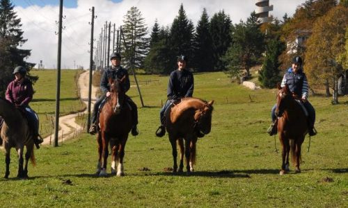 reiten_bern-lang