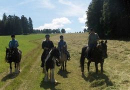 reiten_bern_jura