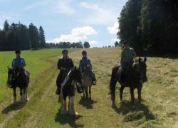 reiten_bern_jura