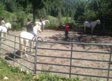 reiten_jura_bern