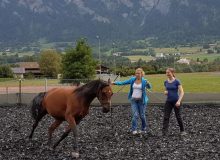 reiten_graubünden