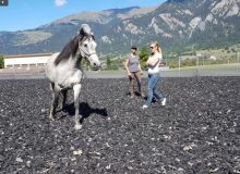 reiten_graubünden