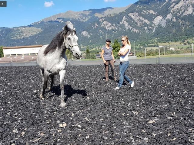 reiten_kurse_graubünden-5