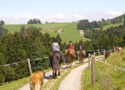 reitferien-appenzell