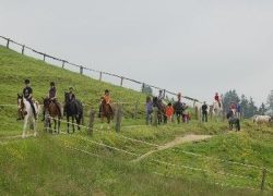 reitferien-appenzell