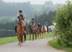 Brikerhof (Appenzell)