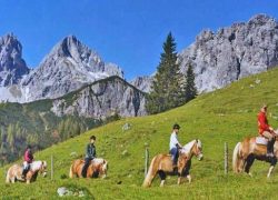reitferien-österreich-1