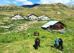 reitferien_graubünden