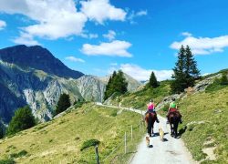 reitferien_graubünden