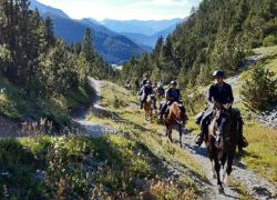 reitferien_graubünden