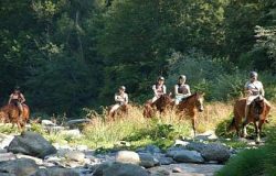 reitkurse-st.gallen