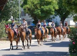 reiten-stgallen