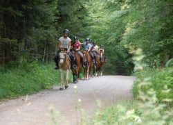 reiten-stgallen