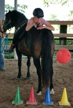 westernreiten-stgallen