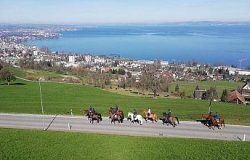 reitstall nauer nauer