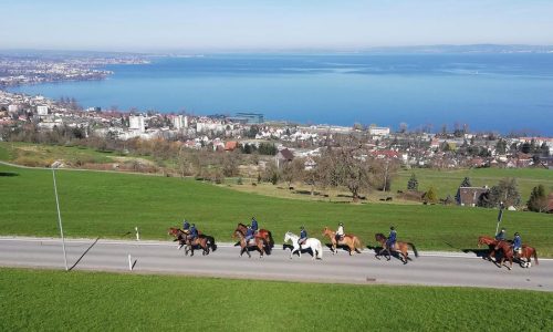 reitstall nauer nauer