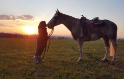 reittherapie-aargau