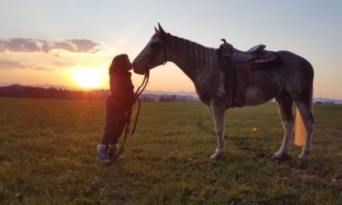 reittherapie-aargau