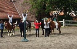 reittherapie-bern