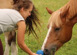 reittherapie-bern