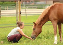 reittherapie-bern