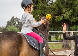 reittherapie-freiburg