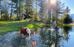 reittherapie-wallis