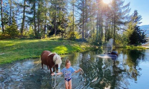 reittherapie-wallis