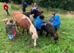 reittherapie-wallis