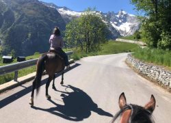 reittherapie-wallis