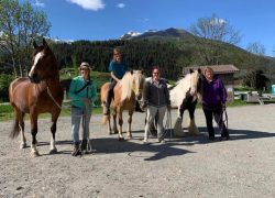 reittherapie-wallis