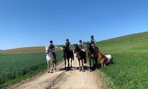 reittherapie-zürich