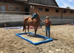 bodenarbeit-bern