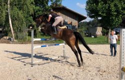 reitunterricht-bern